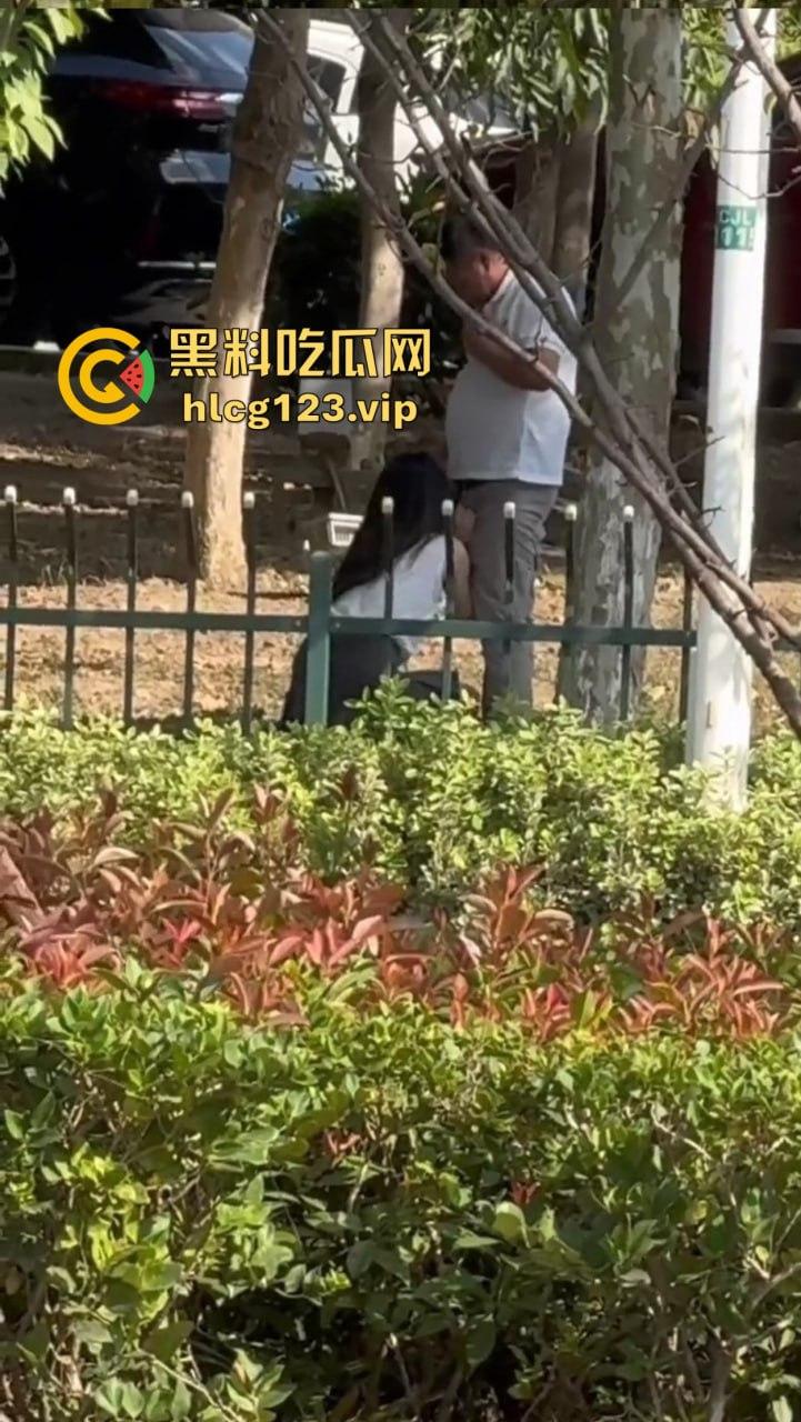 安徽芜湖长江南路惊现大尺度现场!为爱马仕鳄鱼皮,女的当街给口,鸡瘾犯了拼了命!-3