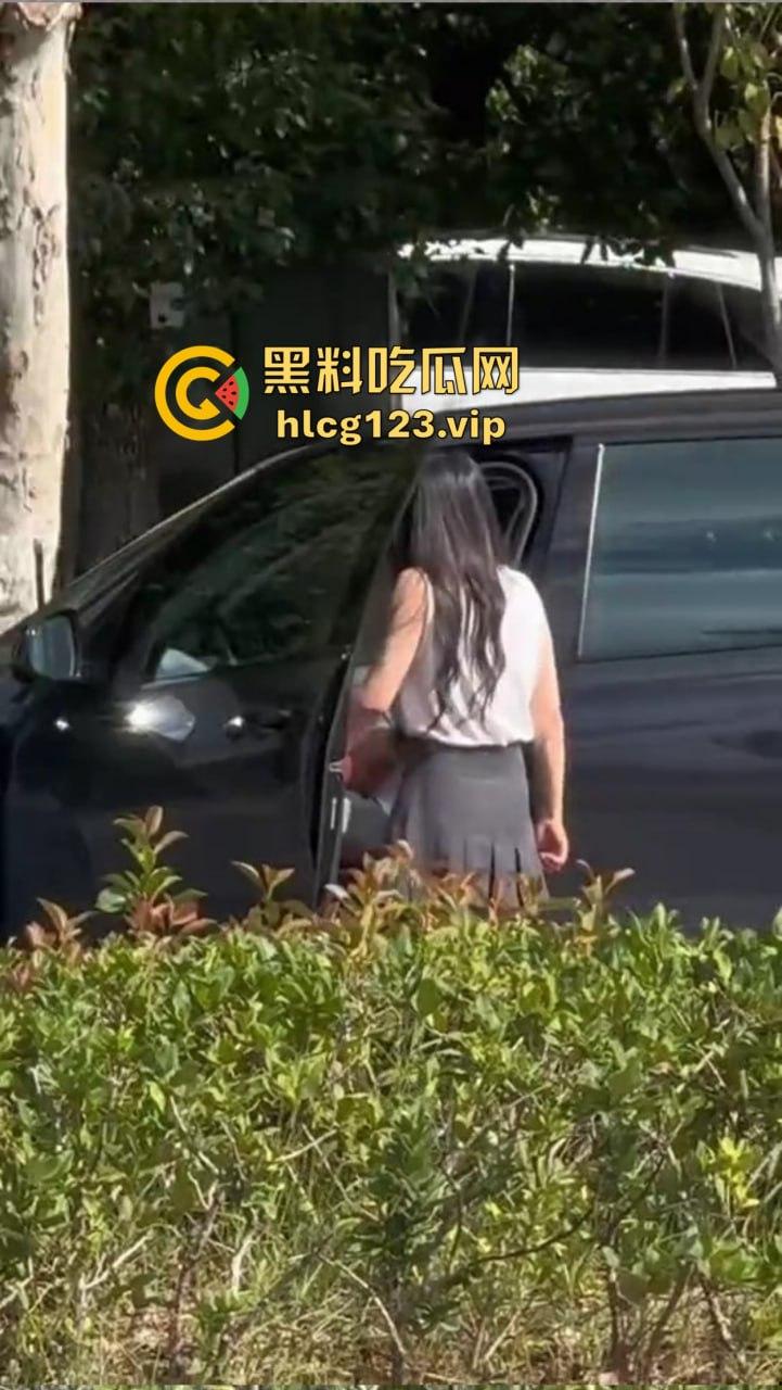 安徽芜湖长江南路惊现大尺度现场!为爱马仕鳄鱼皮,女的当街给口,鸡瘾犯了拼了命!-5