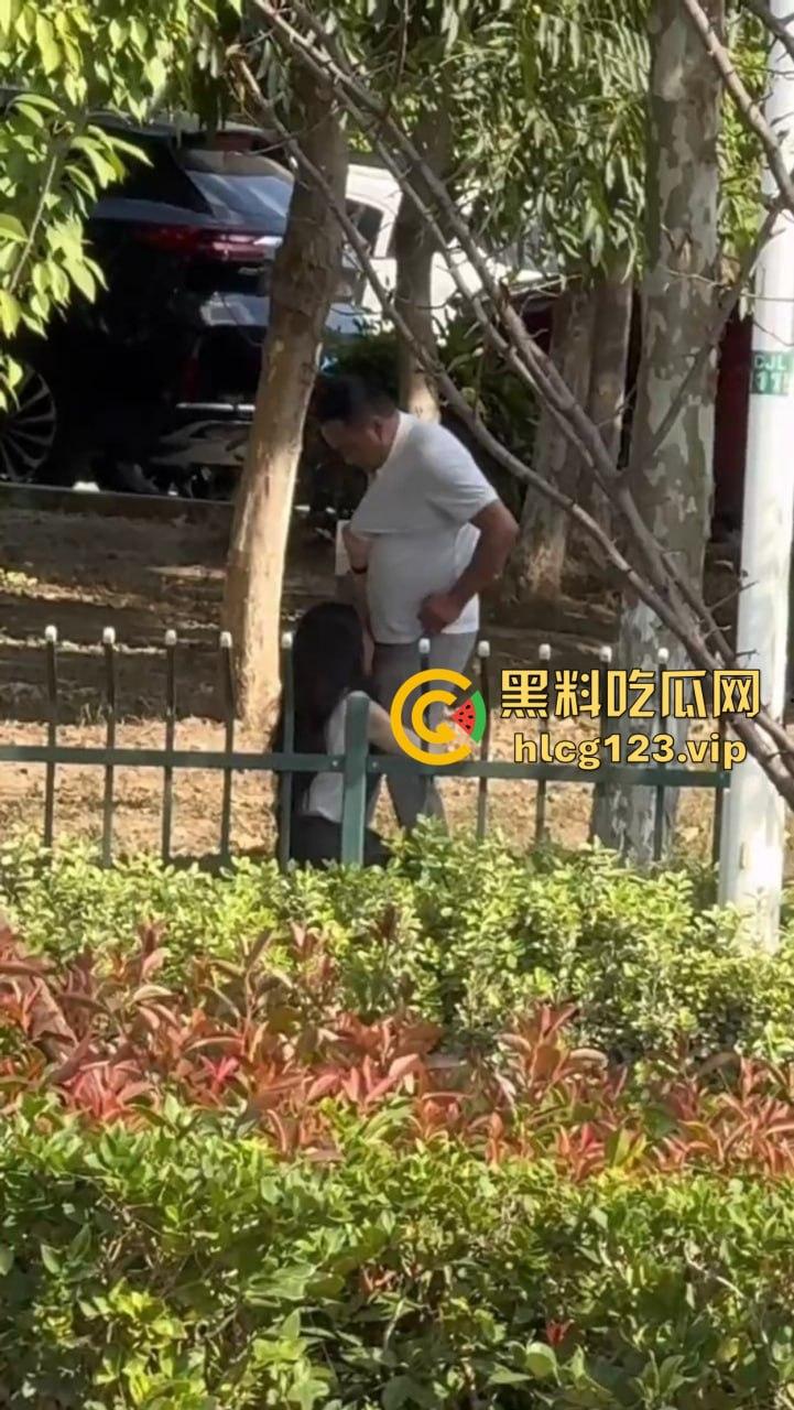 安徽芜湖长江南路惊现大尺度现场!为爱马仕鳄鱼皮,女的当街给口,鸡瘾犯了拼了命!-7
