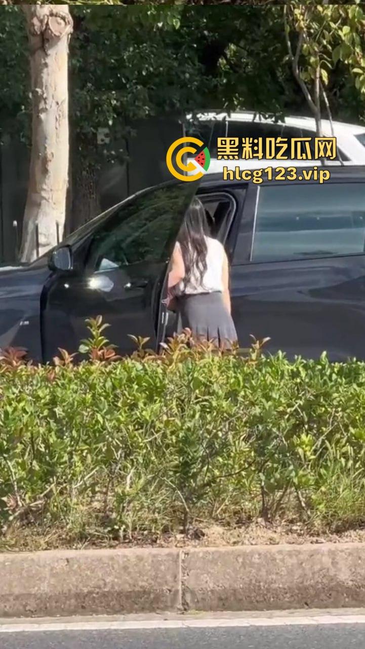安徽芜湖长江南路惊现大尺度现场!为爱马仕鳄鱼皮,女的当街给口,鸡瘾犯了拼了命!-8