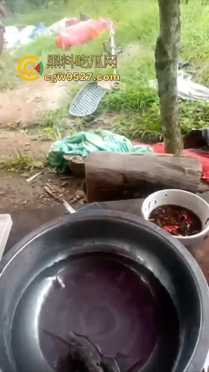 不是哥们这都能生吃呀!真不怕得病?真的极其重口,生吞小老鼠,也不怕得病 !-7