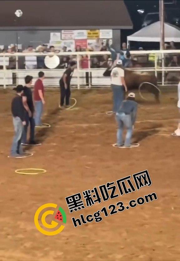 勇敢者的游戏:留在圈里拿10万美元?被牛撞一下骨折赚70万,这笔买卖真划算!-12