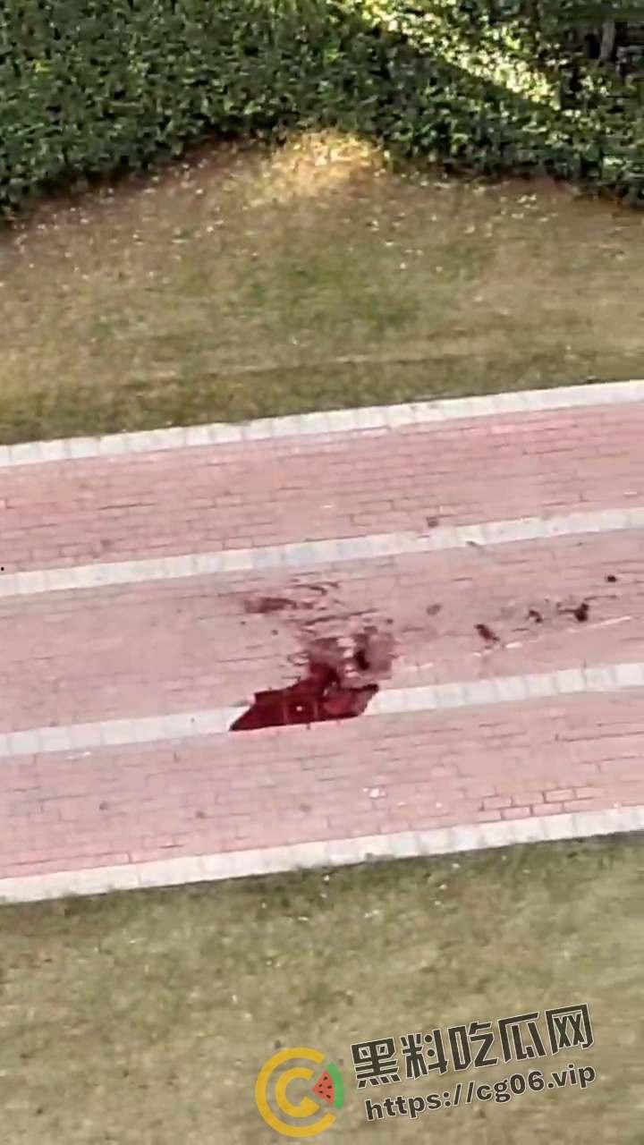 郑州灭门惨案!小孩半夜拍皮球 楼下邻居直接把全家刀了 丈夫当场死亡 血流满地 现场血腥画面曝光-5