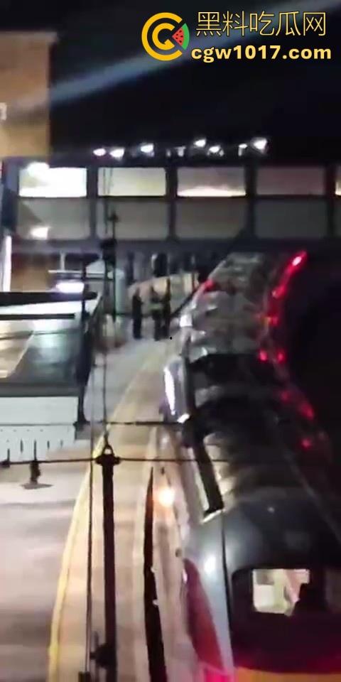 英国一火车发生持刀行凶事件!有多人被送往医院治疗,已有两人被警方逮捕,现场围满了警察像拍电影一样!-5