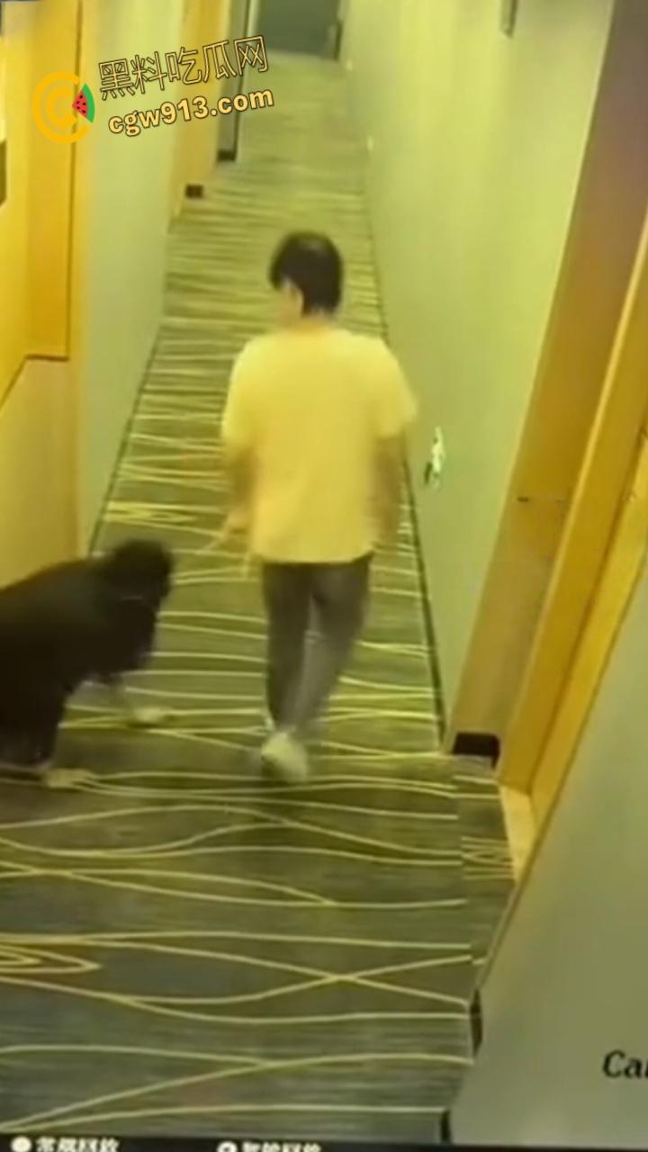 酒店监控拍下吾辈楷模,男子牵狗链,黑群女子像狗爬行,路过群众惊掉下巴,奇葩任务引爆字母圈 !-2
