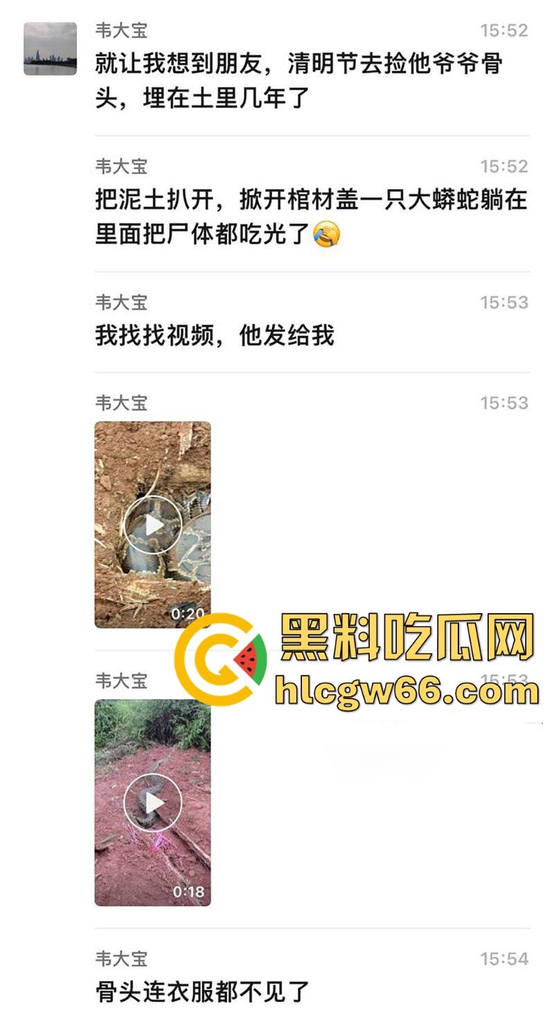 广西迁坟扫墓 棺材内惊现大蟒蛇 尸体被吃光 场面毛骨悚然 果然恐怖电影都源于现实啊！