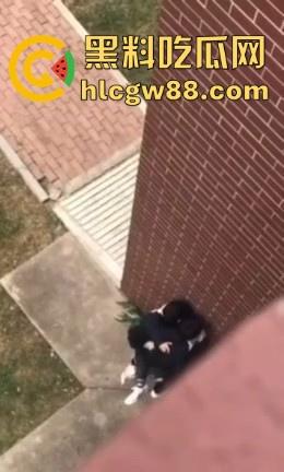 春天来了,动物们到了交配的季节了,情侣们性欲来了完全不顾旁人现场就是干!-2