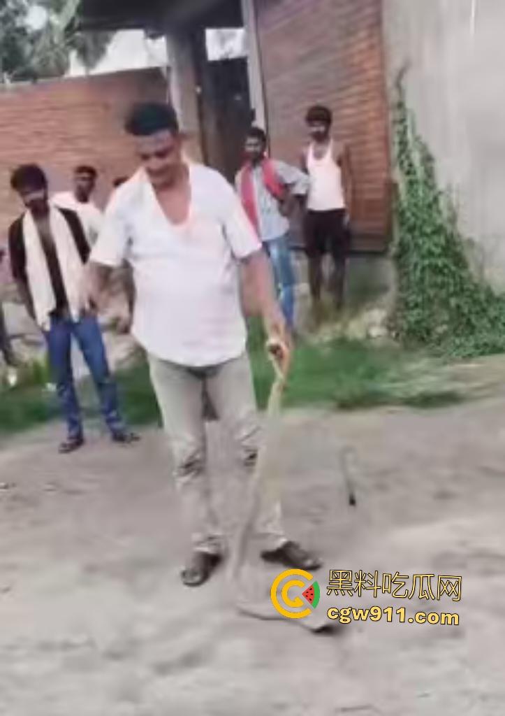 印度蛇王装逼被反杀,毒眼镜蛇一口咬死抓蛇神人,没想到血清忘带了,直接当场丧命,下辈子别再装逼了!-2