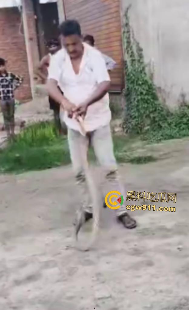 印度蛇王装逼被反杀,毒眼镜蛇一口咬死抓蛇神人,没想到血清忘带了,直接当场丧命,下辈子别再装逼了!-4