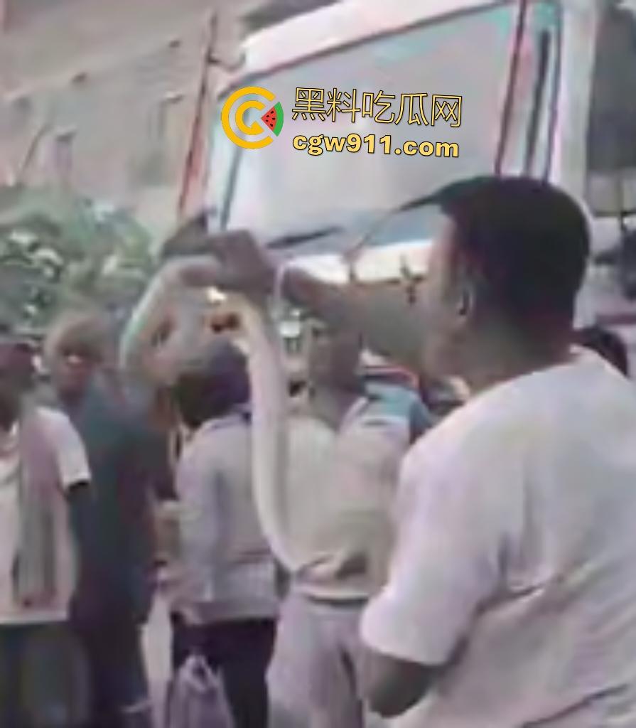 印度蛇王装逼被反杀,毒眼镜蛇一口咬死抓蛇神人,没想到血清忘带了,直接当场丧命,下辈子别再装逼了!-6