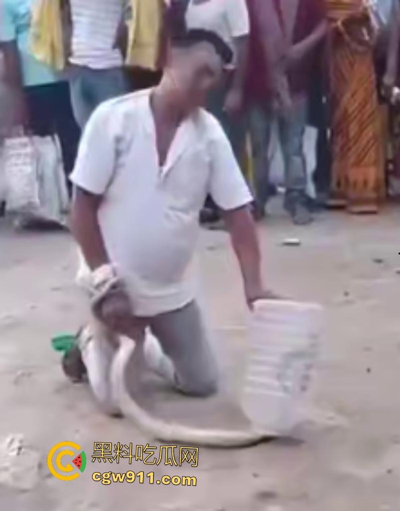 印度蛇王装逼被反杀,毒眼镜蛇一口咬死抓蛇神人,没想到血清忘带了,直接当场丧命,下辈子别再装逼了!-8
