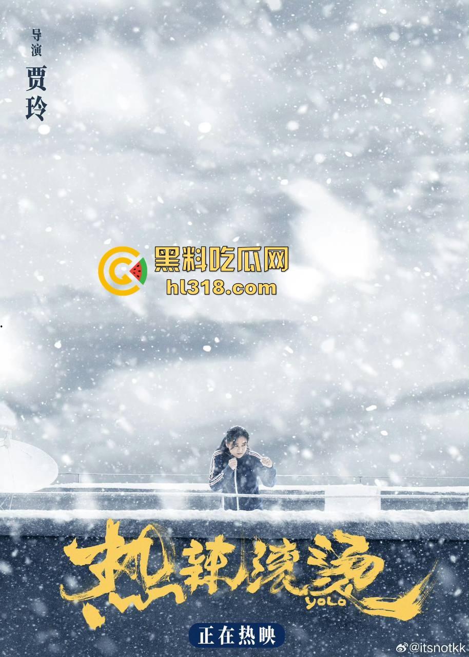 高清免费电影【热辣滚烫】强袭来袭!高票房好评电影,贾玲导演的减肥感到电影值得一看!-5