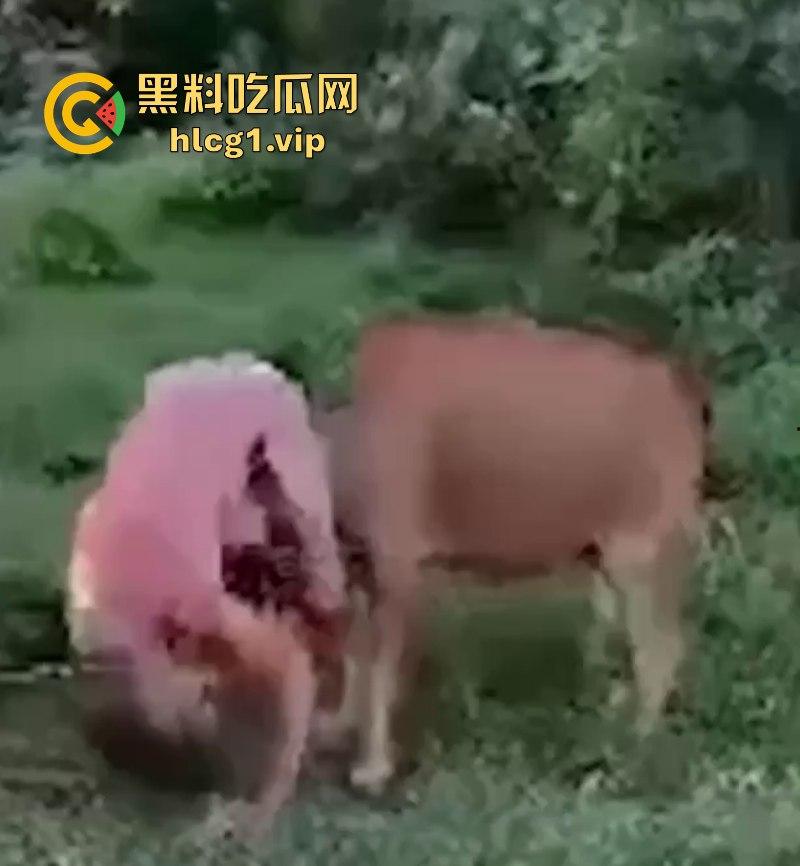 泰国一名26岁俄罗斯男子试图强奸牛妈妈 反被牛妈妈反杀!-8