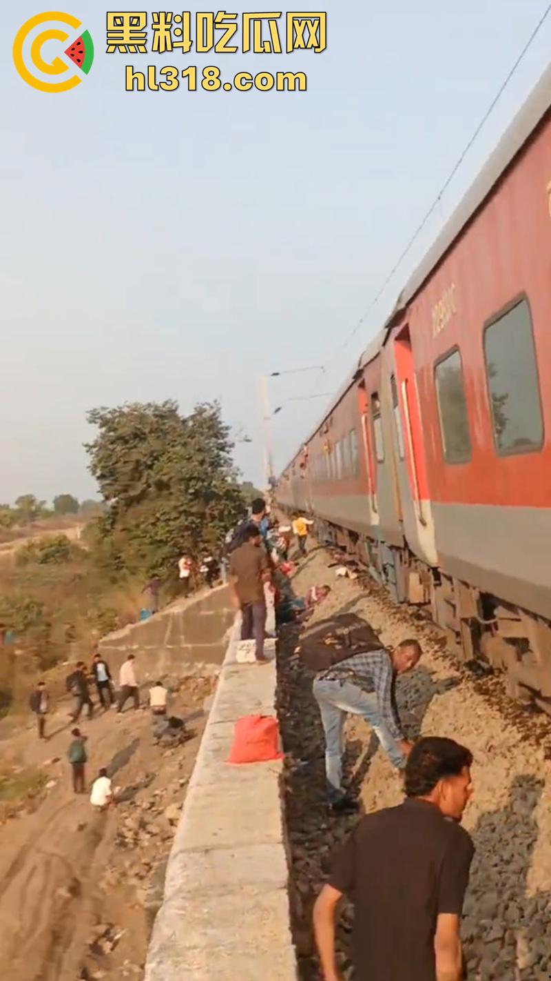 印度谣言造成大祸,大聪明编造车厢着火谣言,导致气氛混乱多人跳车逃生,被疾驰而来的火车撞死!-6