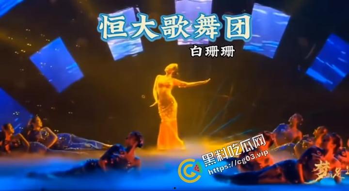 恒大歌舞团里的舞者除了专供恒大高层使用,还要拿出去进行高级公关,【白珊珊】的辩解苍白无力-6