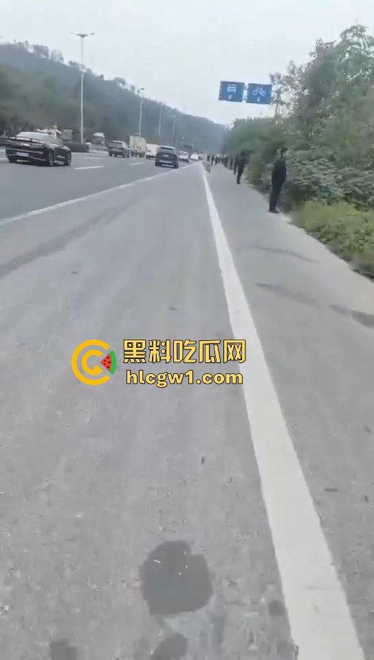 浙江义乌南山区地毯式搜索凶手！群众瑟瑟发抖，警方封锁整片山林！-9