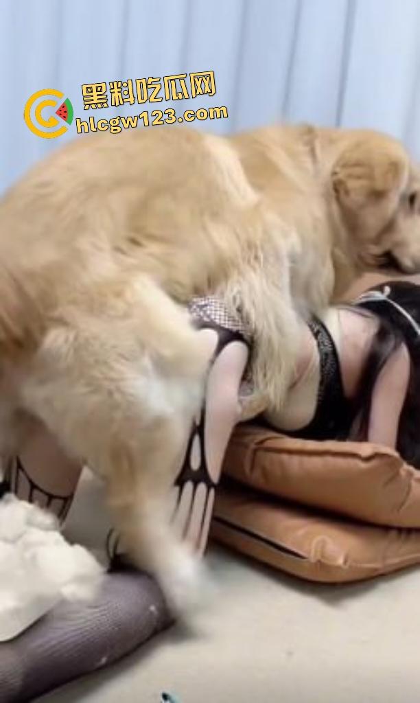 华中科技大学博士【秦妮】连体黑丝被金毛后入肥B叫声,男友在一旁被狗“绿”得真过瘾!-4