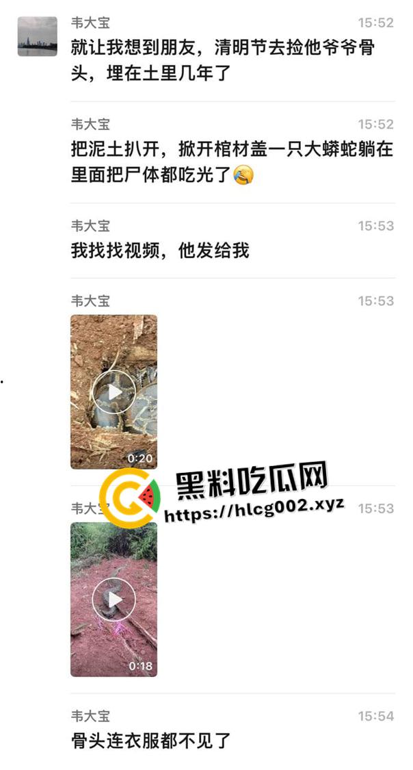 爷爷真被蛇精抓走了！网友清明上坟发现大蟒蛇躺在爷爷棺材 这下真的是蛇精还我爷爷了-1
