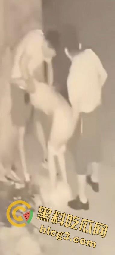 山东师范大学美女学生『薛菲』街头醉酒后被两人拉至路边强奸 被两男子插嘴后入-10