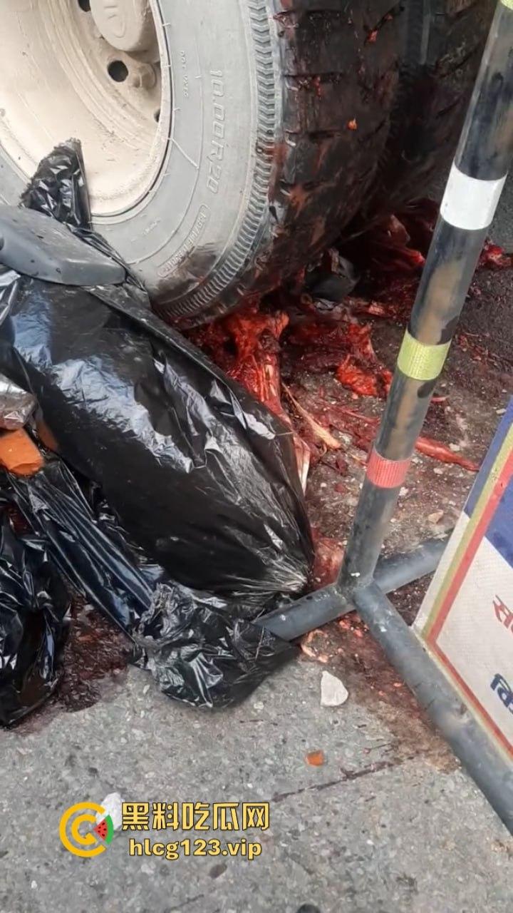 血腥慎点!太惨烈!尼泊尔一男子遭货车碾压拖行 “肠子都出来了!”-8