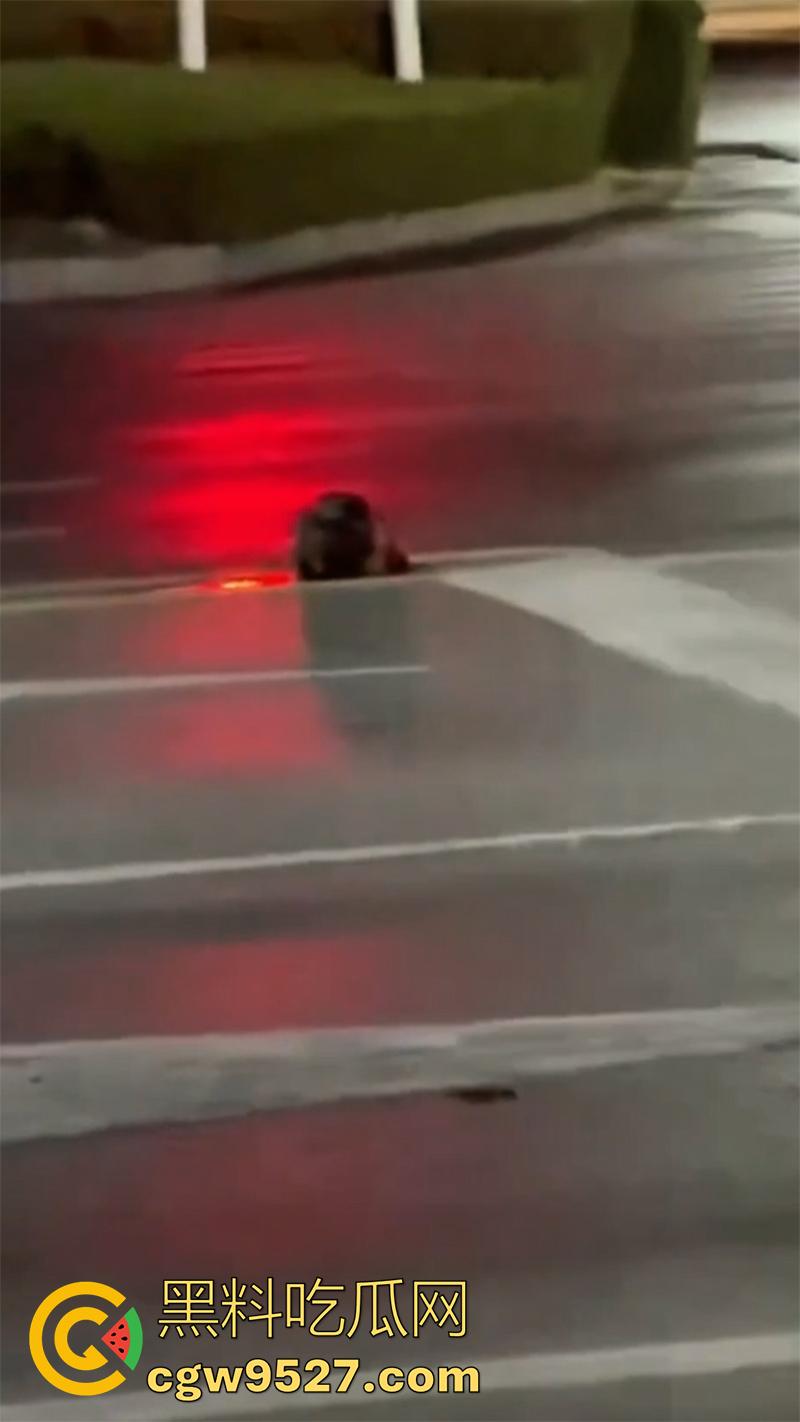 山东恐怖杀人现场,诸城东外环润家园附近,一男子杀人后,将其头颅砍下来,直接放在马路中间!-5