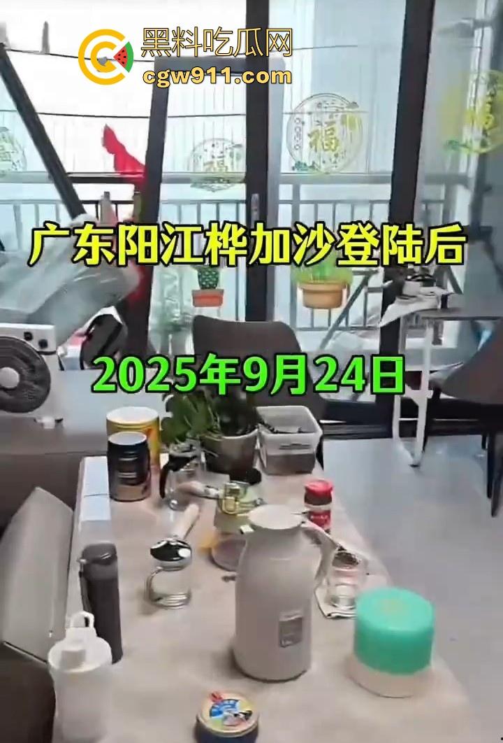 最强的超级台风【桦加沙】登陆阳江后的真实状况,到处都是被吹到的树玻璃,人类在大自然面前是多么渺小啊!-3