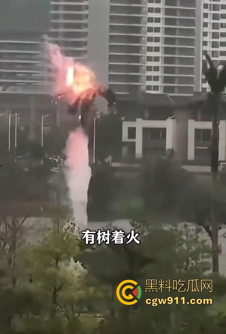 最强的超级台风【桦加沙】登陆阳江后的真实状况,到处都是被吹到的树玻璃,人类在大自然面前是多么渺小啊!-6