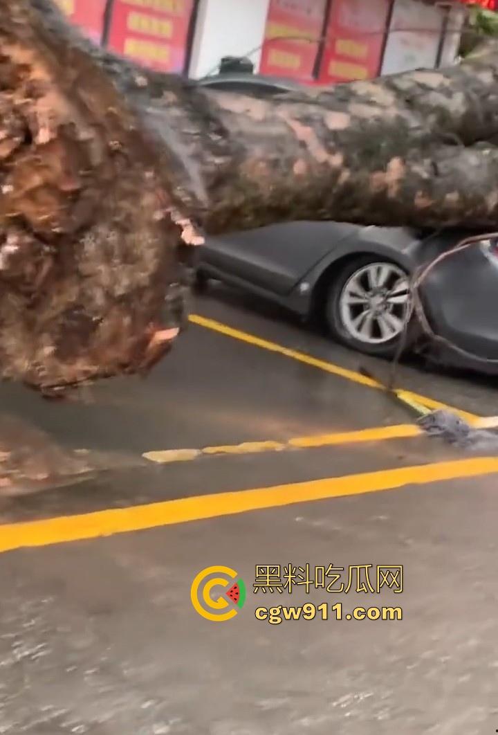 最强的超级台风【桦加沙】登陆阳江后的真实状况,到处都是被吹到的树玻璃,人类在大自然面前是多么渺小啊!-10