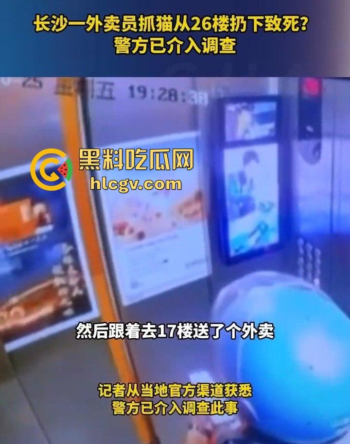 长沙外卖员丧心病狂虐猫!抓猫从26楼扔下当场摔死!-2