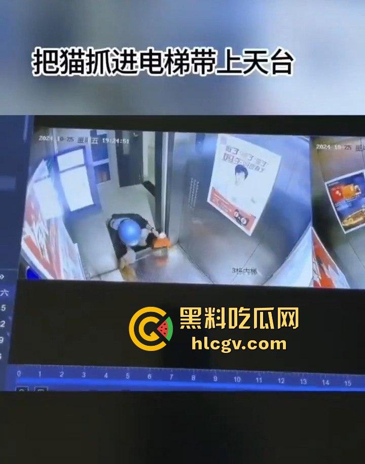 长沙外卖员丧心病狂虐猫!抓猫从26楼扔下当场摔死!-5