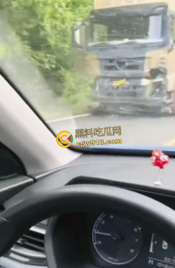 黑龙江货车狂飙撞扁16头活牛,尸体拉长成肉泥,丢草丛无人收,这下司机要赔得血本无归!-2