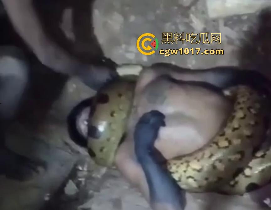 印度醉汉被巨蟒缠绕绞杀，骨骼咔咔断裂脸黑如炭，俩亲兄弟把蟒蛇抬走说喝点恒河水能活，这都黑了还能救？-2