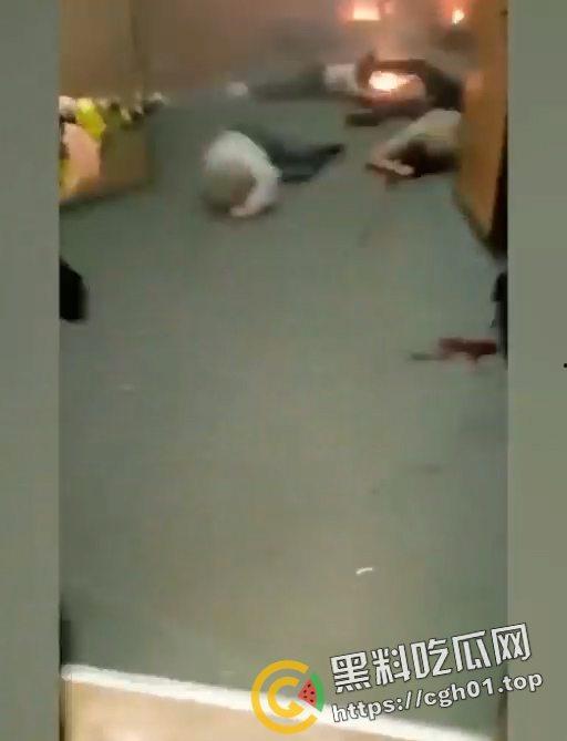 俄罗斯音乐厅恐怖袭击 恐怖分子放出第一视角 枪杀完还要补刀 以及被抓住后处决现场 血腥慎点!-7