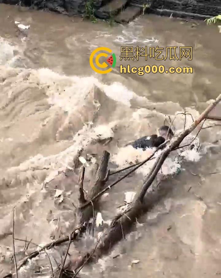 好悬啊！杭州闻堰突然大潮，小朋友在河边玩，未及时发觉被洪水冲走，还好及时抓住了树枝解救，险象环生！-9